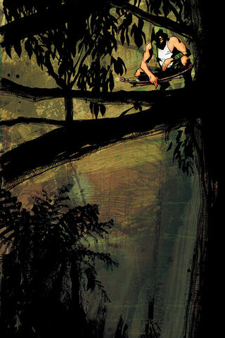 File:Green Arrow Year One Vol 1 2 Textless.jpg