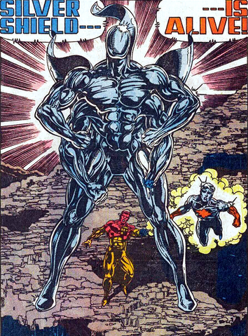 File:Silver Shield.png