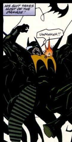 File:Bruce I Joker 004.jpg