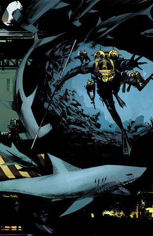 File:Wake Vol 1 2 Textless.jpg