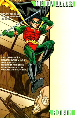 File:Robin Tim Drake 0070.jpg