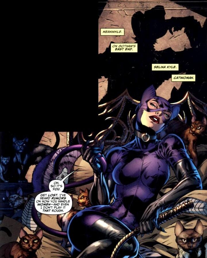 Selina Kyle Earth 31 Dc Database Fandom