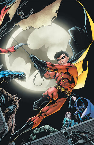 File:Robin Tim Drake 0012.jpg