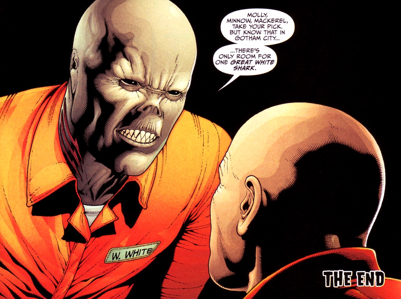 Image - Great White Shark 0005.jpg | DC Database | FANDOM powered by Wikia