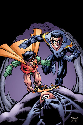 File:Nightwing 0035.jpg