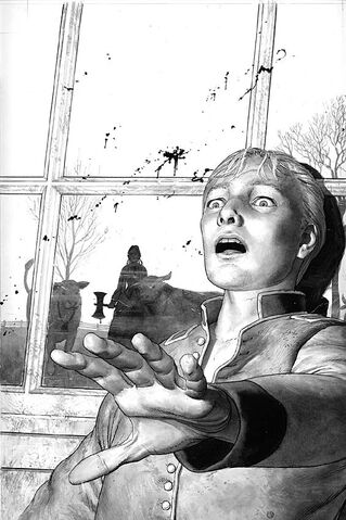 File:Fables Vol 1 11 Textless.jpg