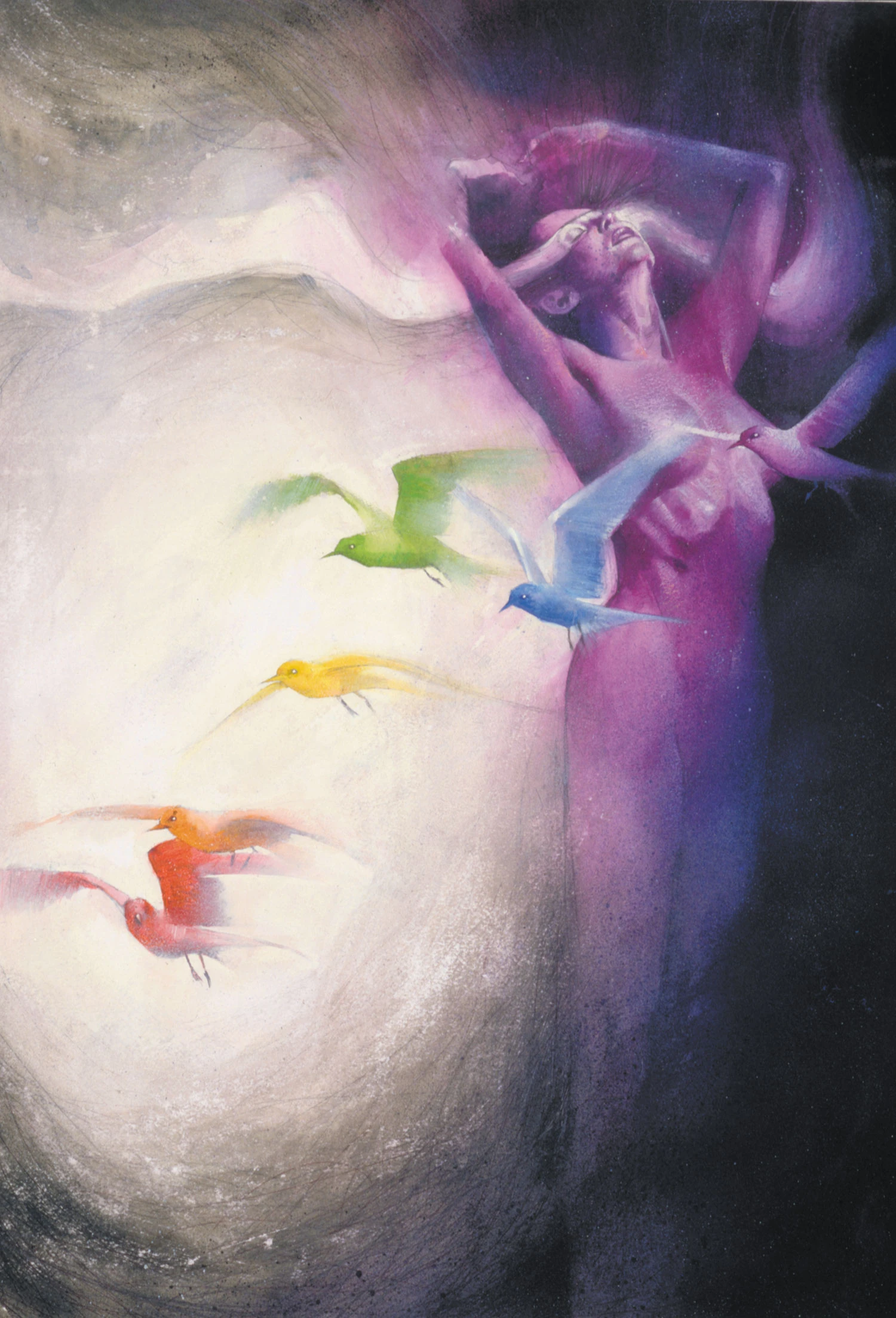 Black Orchid (Collected) DC Database FANDOM powered by