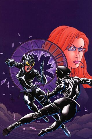 File:Birds of Prey Catwoman Oracle Vol 1 1 Textless.jpg