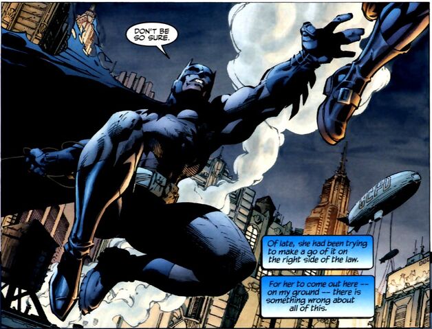 File:Batman 0230.jpg