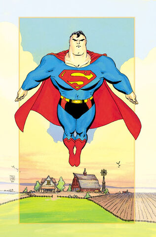 File:Superman for All Seasons Vol 1 1 Textless.jpg