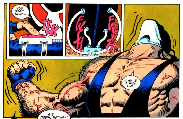 File:Bane 0044.jpg