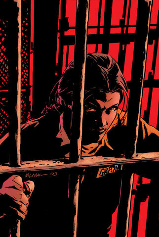 File:Gotham Central Vol 1 8 Textless.jpg