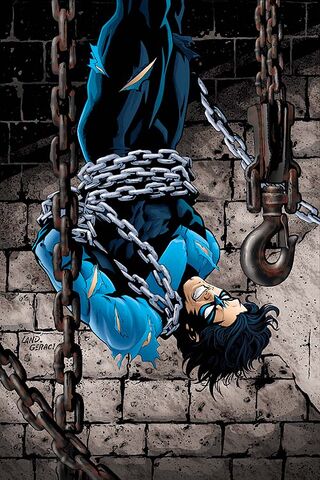 File:Nightwing 0038.jpg