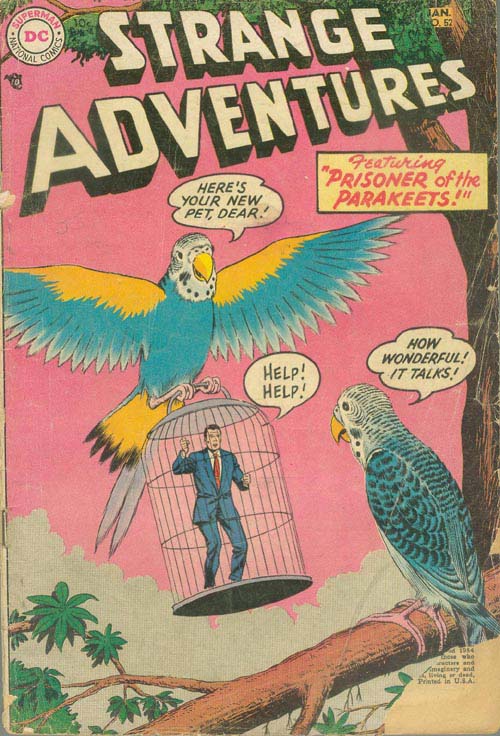 Image result for strange adventures parakeet