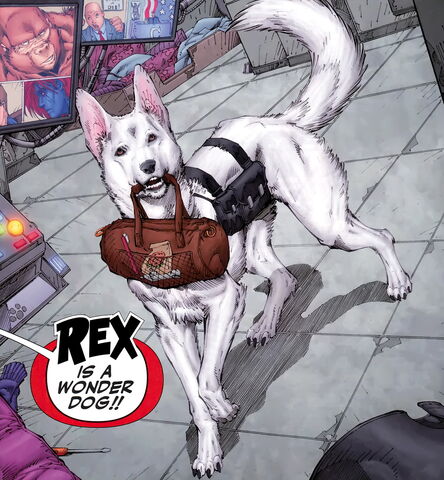 File:Rex the Wonder Dog 005.jpg