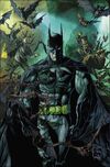 Batman Vol 2 1 Variant Textless