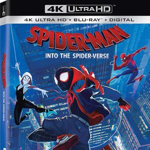 Spider Man Into The Spider Verse Film Marvel Animated