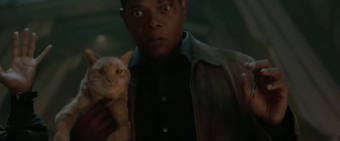 Goose Marvel Cinematic Universe Wiki Fandom