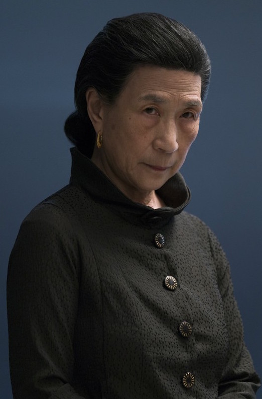 Madame Gao Marvel Cinematic Universe Wiki Fandom