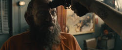 disney plus trevor slattery