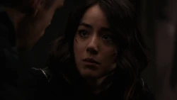 Daisy's Vision-Paradise Lost