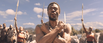 Black Panther Marvel Cinematic Universe Wiki Fandom
