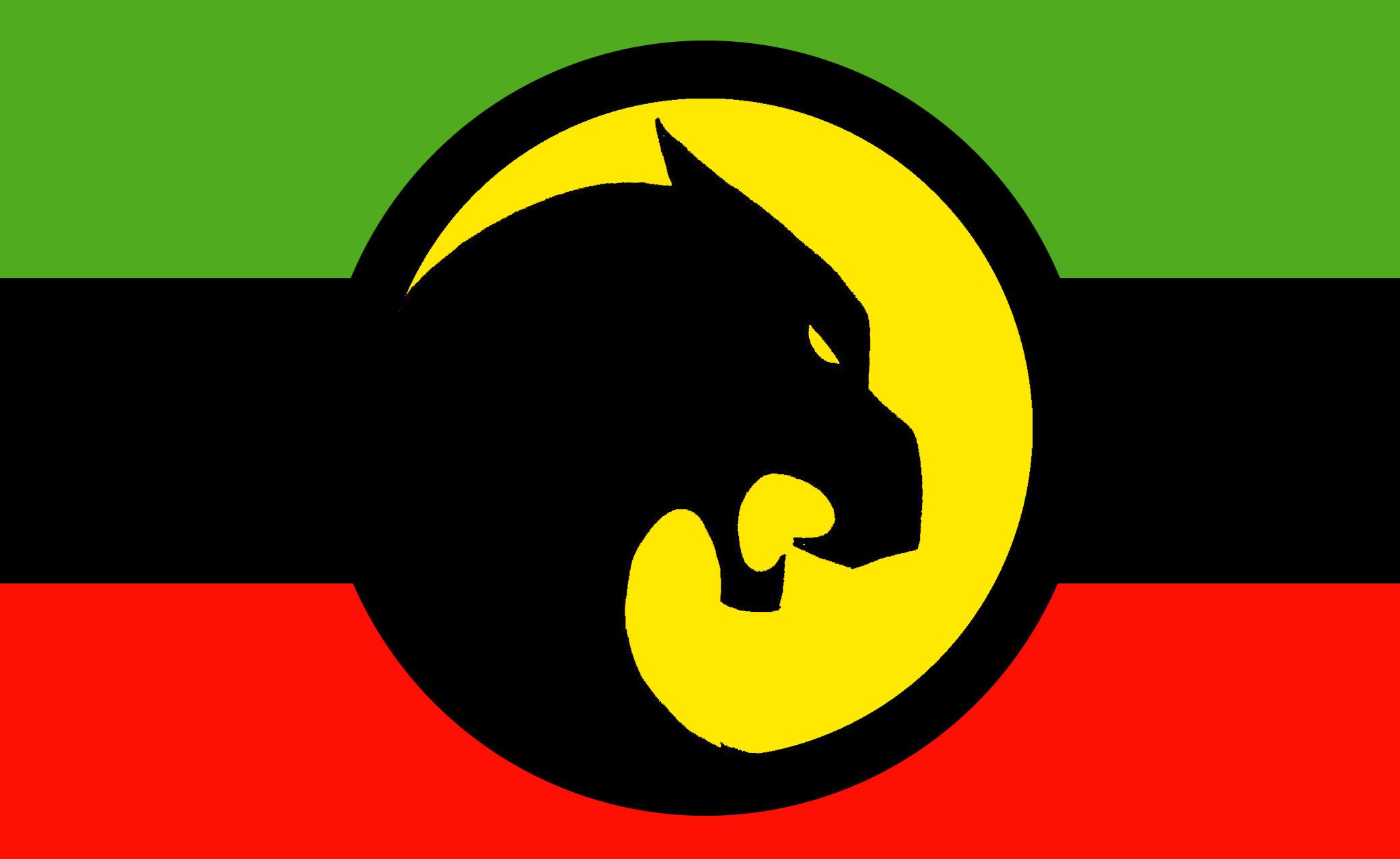 Image result for wakanda flag