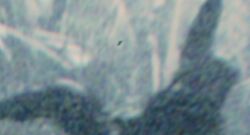 Antman 01032-1-