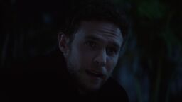Fitz see Alya