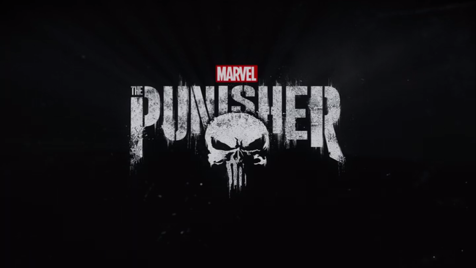 The punisher обои