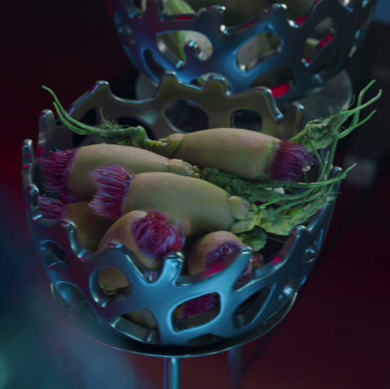 yaro root marvel cinematic universe wiki fandom yaro root marvel cinematic universe wiki fandom