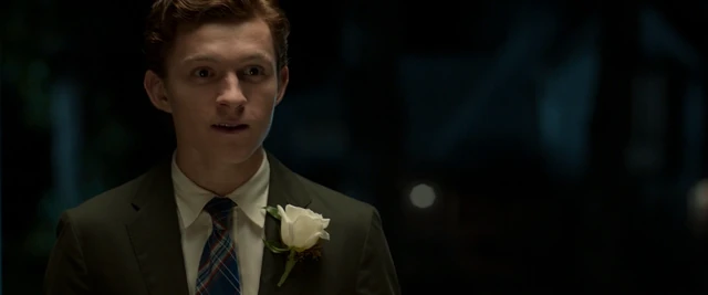 Image - Peter Parker (Homecoming).png | Marvel Cinematic Universe Wiki