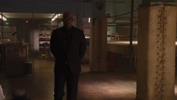 NFuryArrivesAtBoxingGym