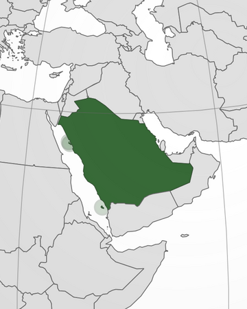 Saudi Arabia Marvel Cinematic Universe Wiki Fandom