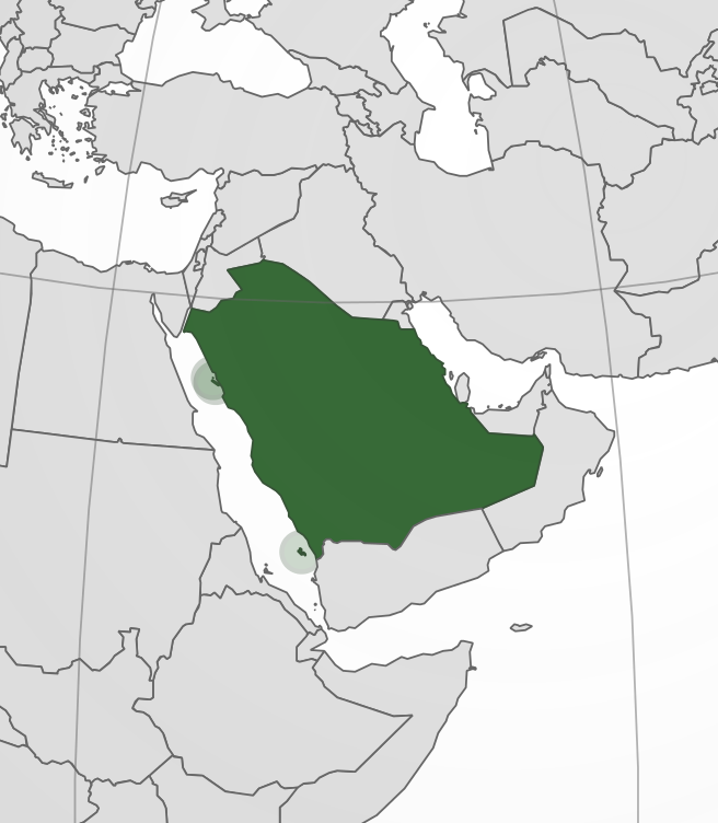 Saudi Arabia Marvel Cinematic Universe Wiki Fandom