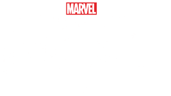 Image result for the punisher