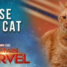 Captain Marvel Film Marvel Cinematic Universe Wiki Fandom
