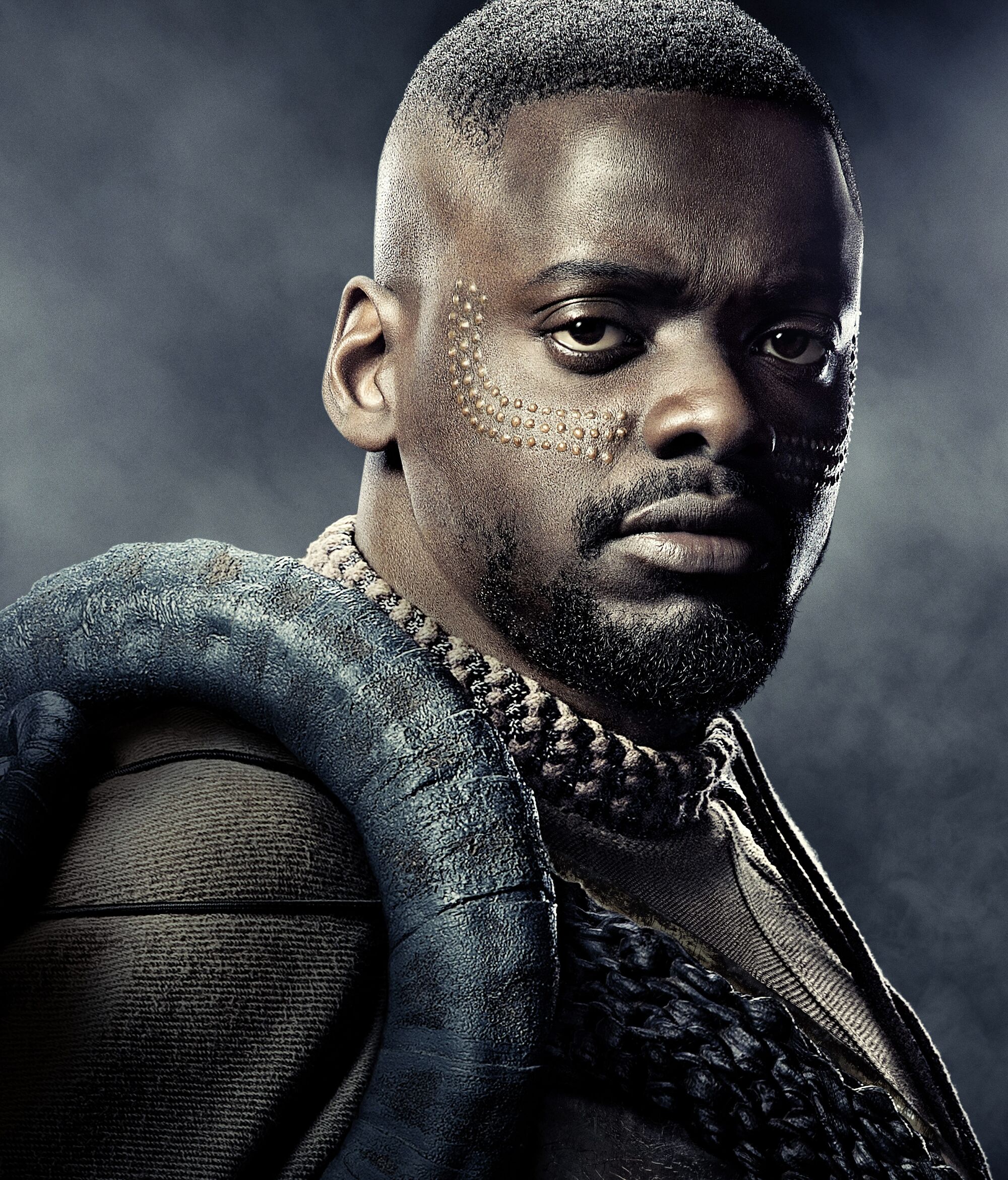 W'Kabi | Marvel Cinematic Universe Wiki | FANDOM powered ...