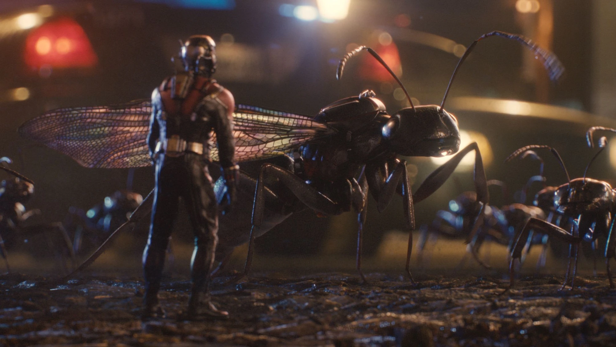 Image AntMan screenshot 40.jpg Marvel Cinematic Universe Wiki