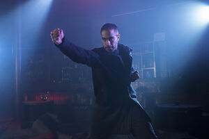 Davos-FightingStance-IFS2