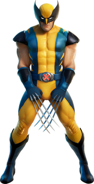 Wolverine Outfit