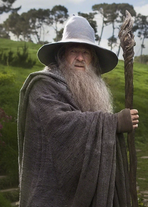 Image - Gandalf the Grey.jpg | Comic Crossroads | FANDOM powered by Wikia