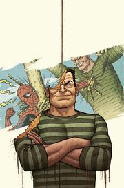 Amazing Spider-Man Vol 1 615 Villain Variant Textless