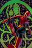 Amazing Spider-Man Vol 1 524 Textless