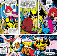 James Howlett Earth 616gallery Marvel Database Fandom - 