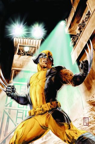 File:Wolverine Origins Vol 1 42 Textless.jpg