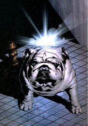 Inhumans Vol 2 8 Textless