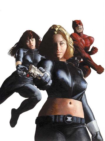 File:Black Widow Vol 2 1 Textless.jpg