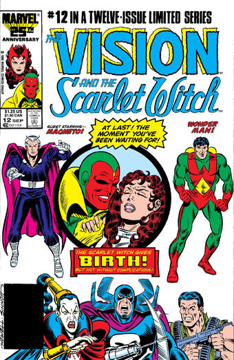 Vision And The Scarlet Witch Vol 2 12 Marvel Database Fandom