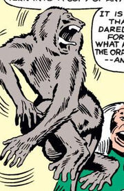 Igor (Earth-616) from Fantastic Four Vol 1 13 0001